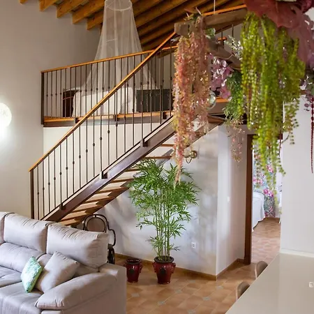 Jerez Centro Mrz Rentals Apartment Jerez de la Frontera